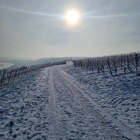 Helloyou Apartments X Bright I Kueche I Wifi I Parken *