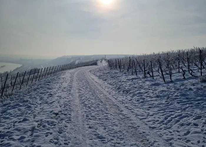 Design I Kueche I Wifi I Parkplatz I Helloyou X Bright Collection *