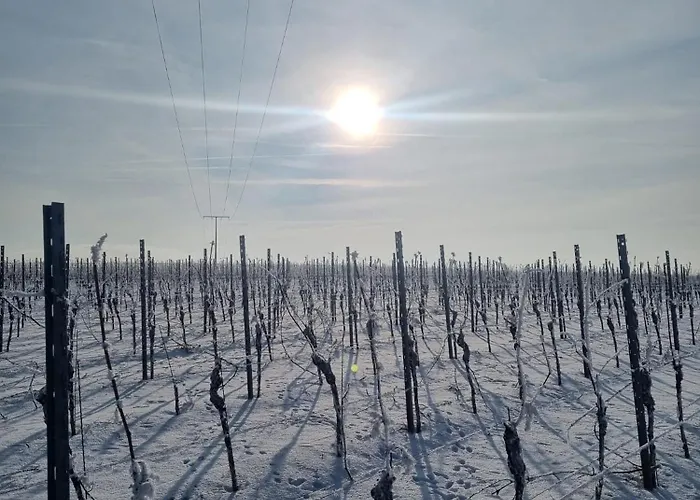 Design I Kueche I Wifi I Parkplatz I Helloyou X Bright Collection